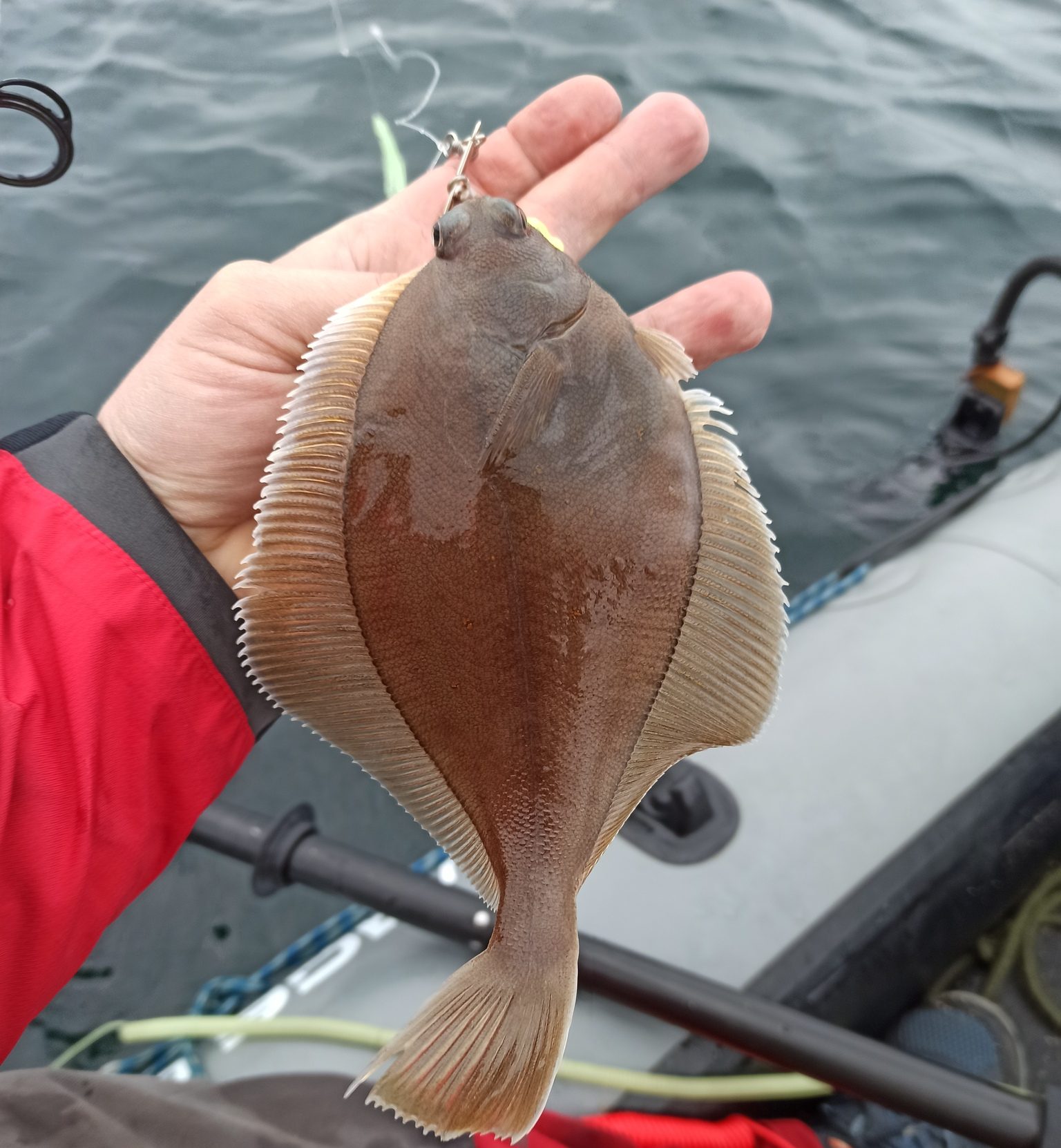 Fish Finders Seattle Fishing Charters- fish in his hand