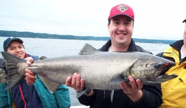 Chinook (King Salmon)